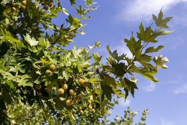 Similar image 8546988