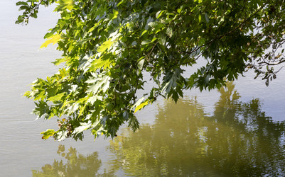 Similar image 8546989