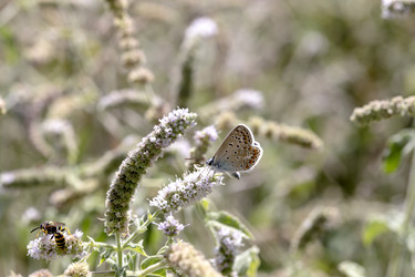 Similar image 8546990