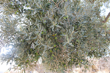 Similar image 8547073