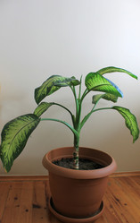 Similar image 8547076