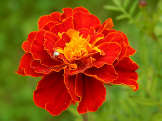 Similar image 8547105