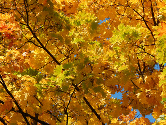 Similar image 8547110