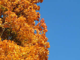 Similar image 8547111