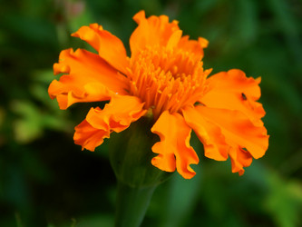 Similar image 8547138