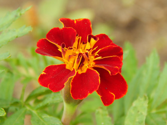 Similar image 8547140