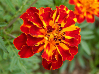 Similar image 8547141