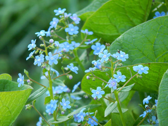 Similar image 8547142