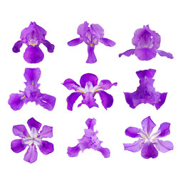 Similar image 8547279