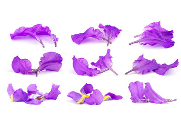 Similar image 8547280