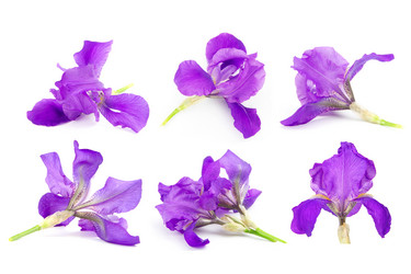 Similar image 8547281