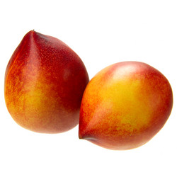 Similar image 8547289