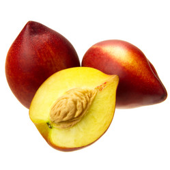 Similar image 8547290