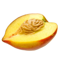 Similar image 8547292