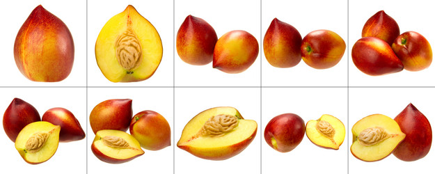 Similar image 8547293