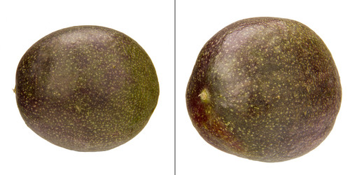 Similar image 8547306