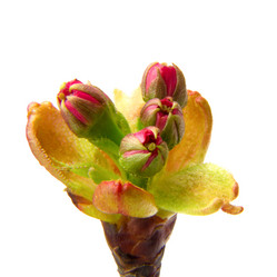 Similar image 8547311