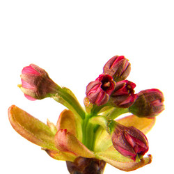 Similar image 8547312