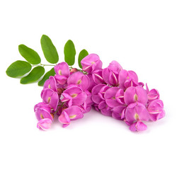 Similar image 8547322