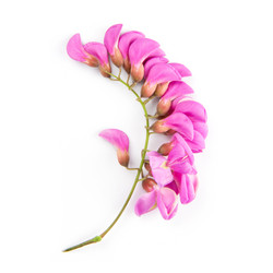 Similar image 8547323