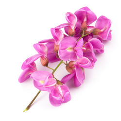 Similar image 8547324