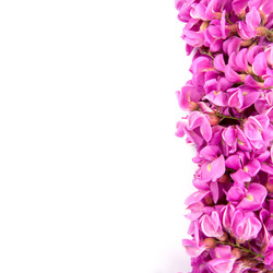 Similar image 8547325