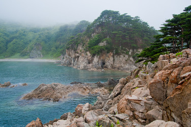 Similar image 8547352