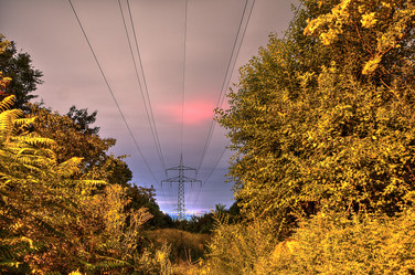 Similar image 8547464