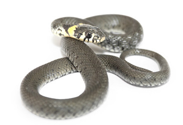 Similar image 8547467