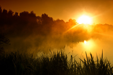 Similar image 8547469