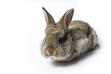 Similar image 8547472