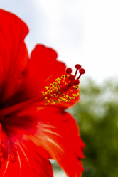 Similar image 8547473