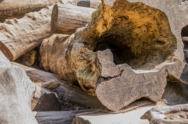 Similar image 8547483