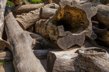 Similar image 8547484