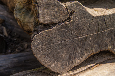 Similar image 8547485