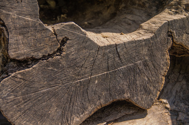 Similar image 8547486