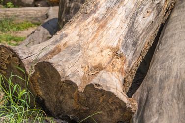 Similar image 8547488