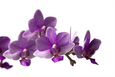 Similar image 8547498