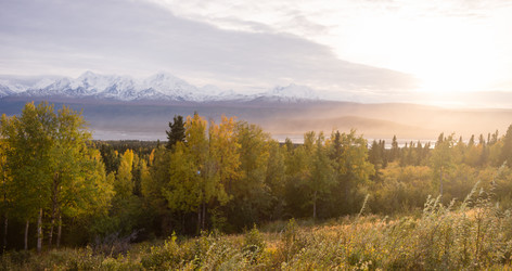 Similar image 8547707