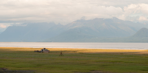 Similar image 8547712