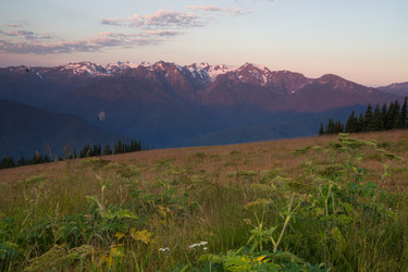 Similar image 8547720