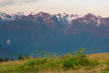 Similar image 8547721