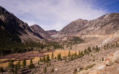 Similar image 8547727