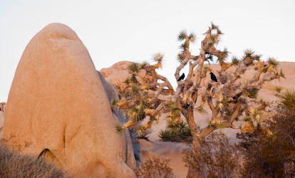 Similar image 8547728