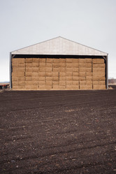 Similar image 8547731