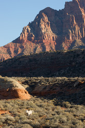 Similar image 8547758