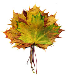 Similar image 8548008