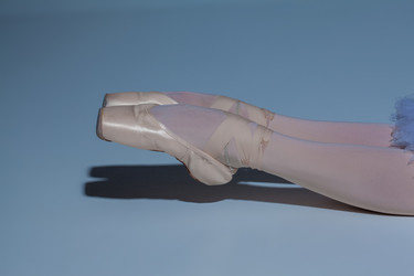 Similar image 8548032