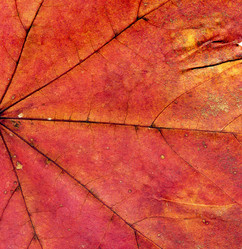 Similar image 8548052