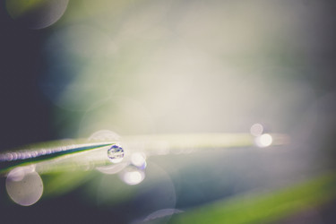 Similar image 8548054